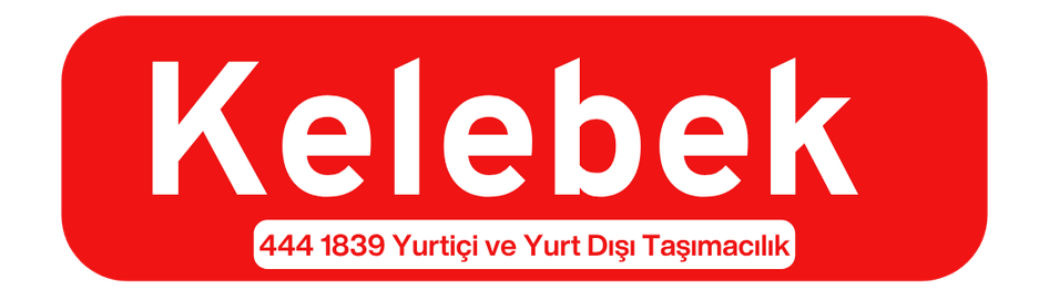Güzelyalı Evden Eve Nakliyat